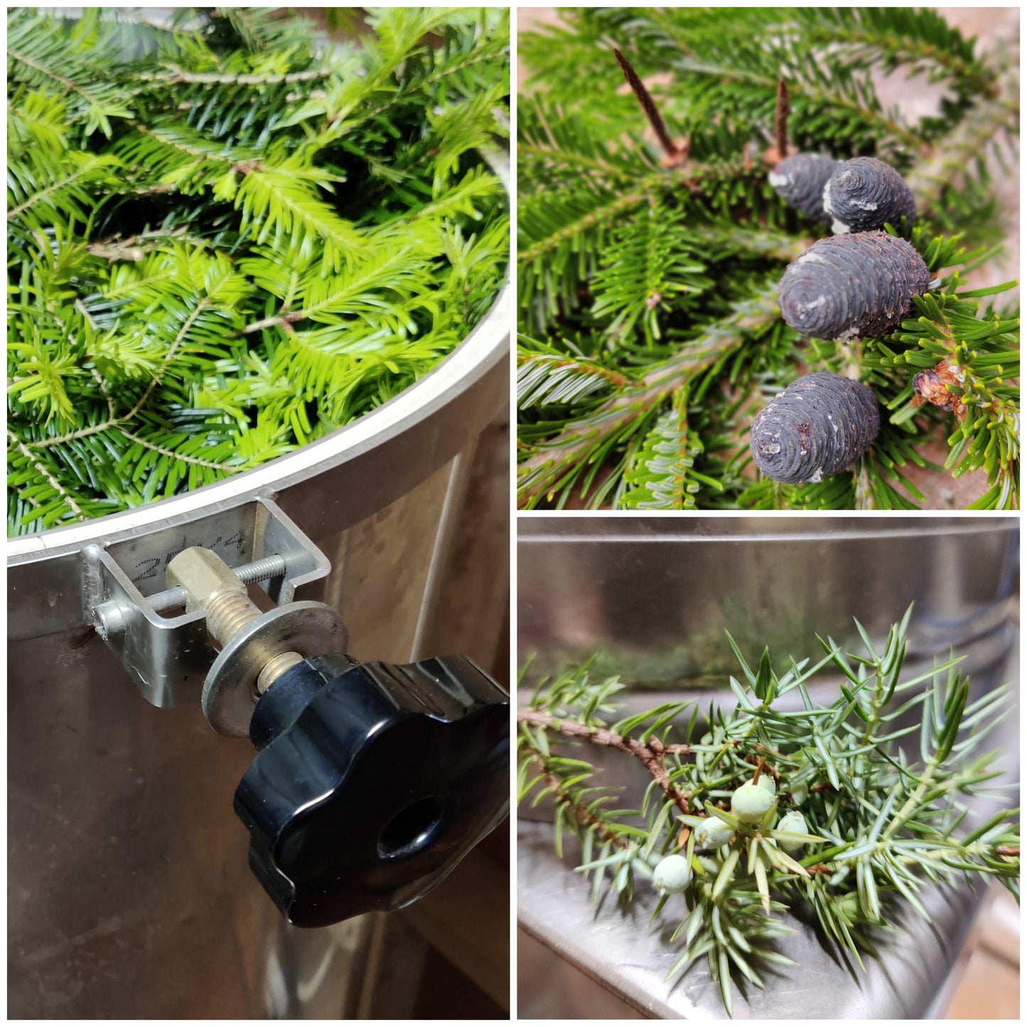 Fra sans til samling - foredling av natur i dråpeform