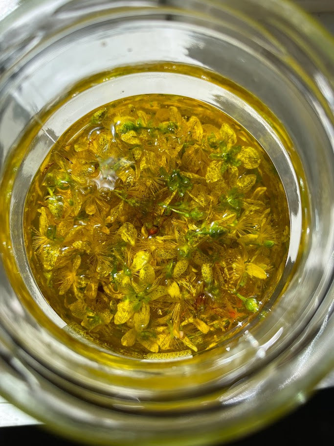 Aroma og naturmedisin på Håskog