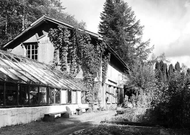 Chapter 4 - Hiorth’s Plant Nursery